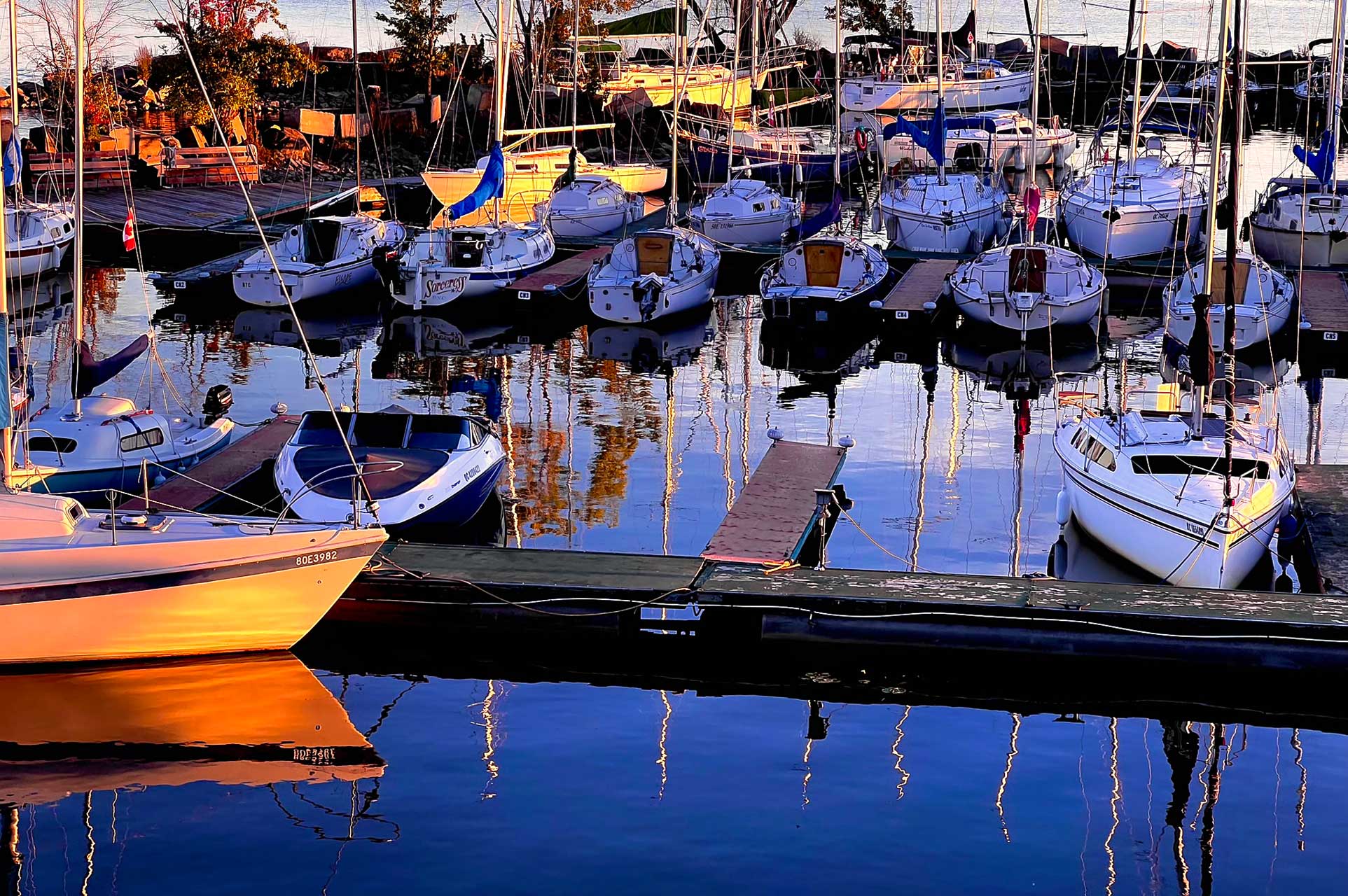 byc_2024_september-williams-terry-harbour