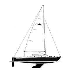 shark-side-view-line-drawing500x500