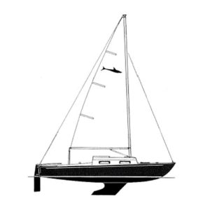 shark-side-view-line-drawing500x500
